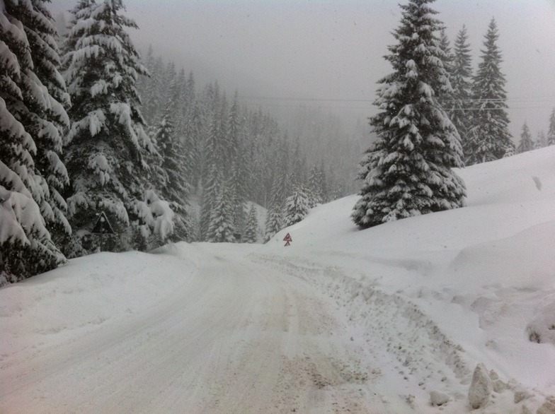 snow road, Pamporovo