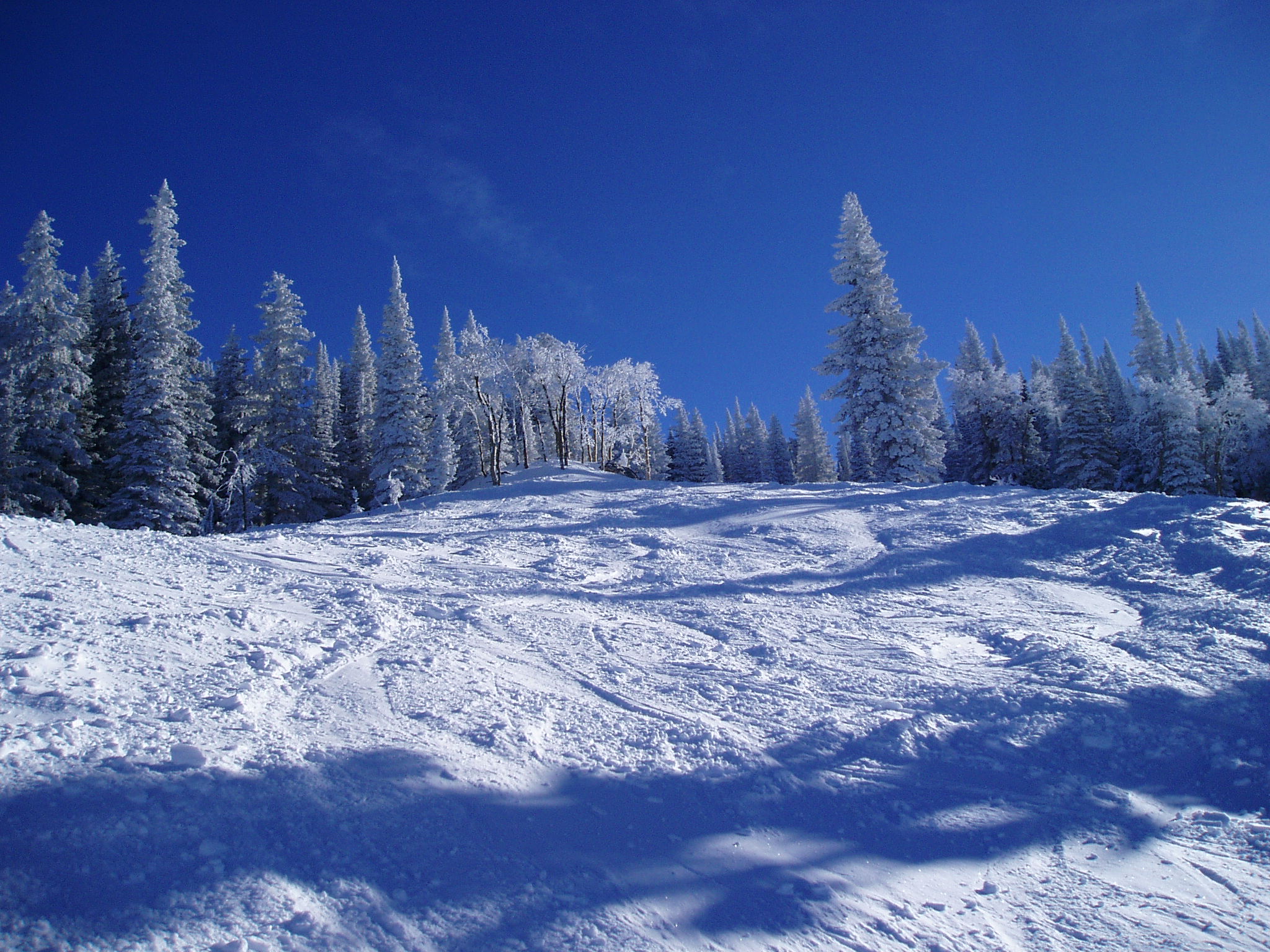 bluebird day - steamboat