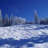 bluebird day - steamboat