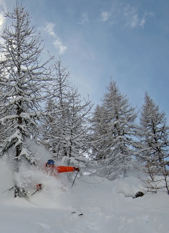 Enjoying the trees!, Bruson