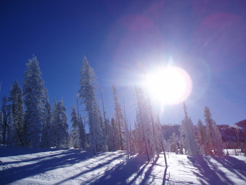 steamboat, usa