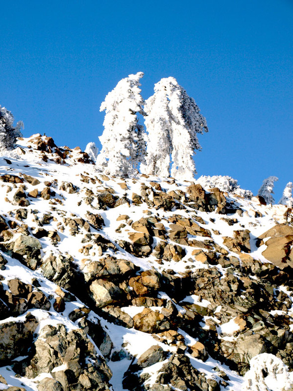 Twins, Mt Olympus