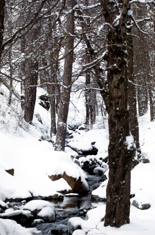Stream, Mt Olympus