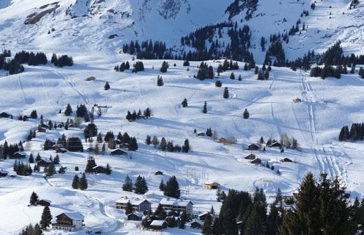 Fresh powder, Les Mosses - La Lécherette