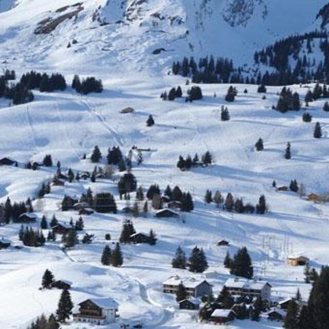 Fresh powder, Les Mosses - La Lécherette