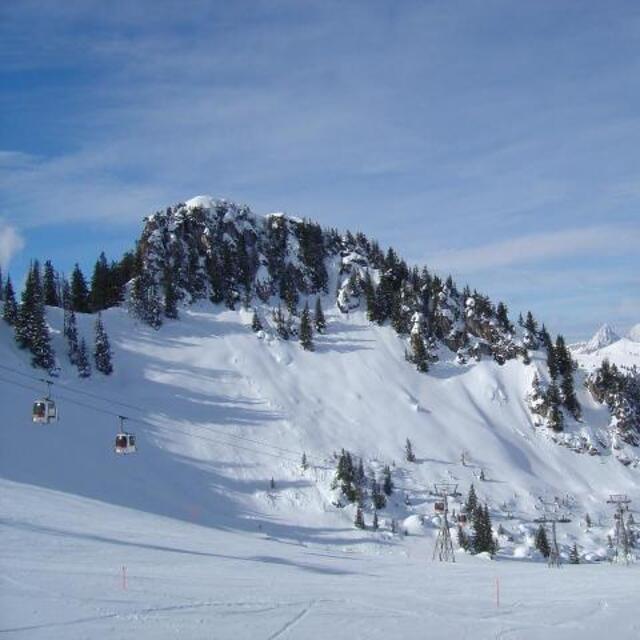 Fresh powder, Les Mosses - La Lécherette