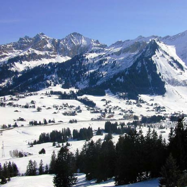 Fresh powder, Les Mosses - La Lécherette