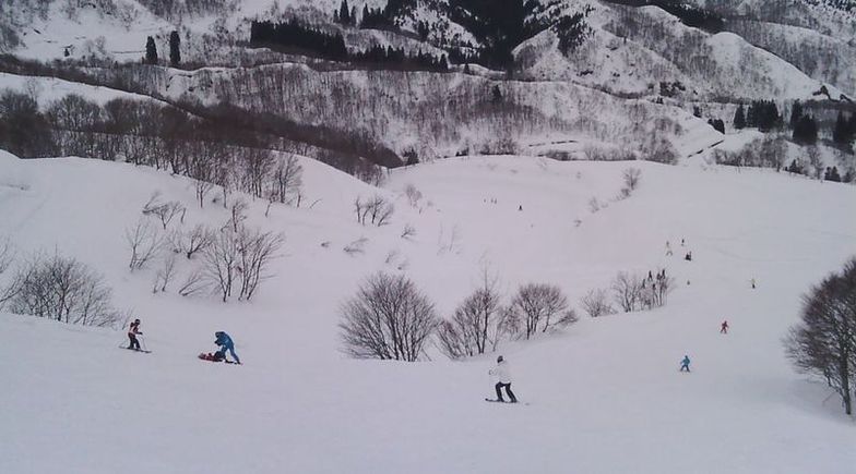 go kids!, Suhara