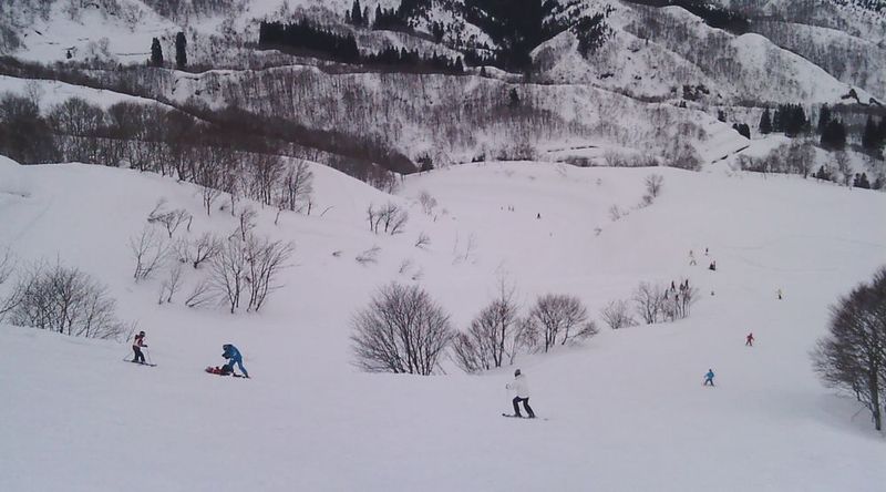 go kids!, Suhara