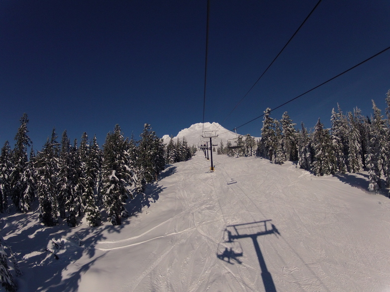 Stormin' Normin, Timberline