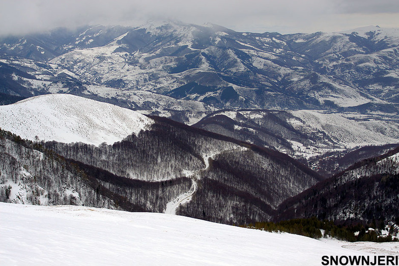 White Brezovica