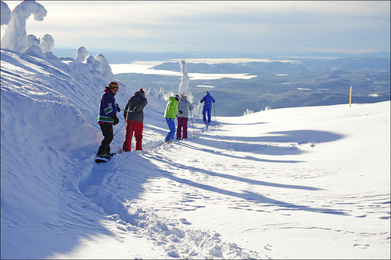 big white dec 18