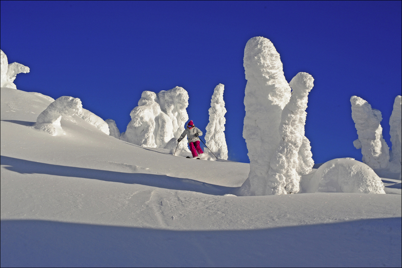 big white dec 18