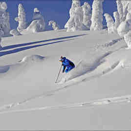 big white dec 18