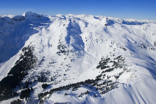 Powder Mountain Catskiing Ski Resort by: Don Schwartz