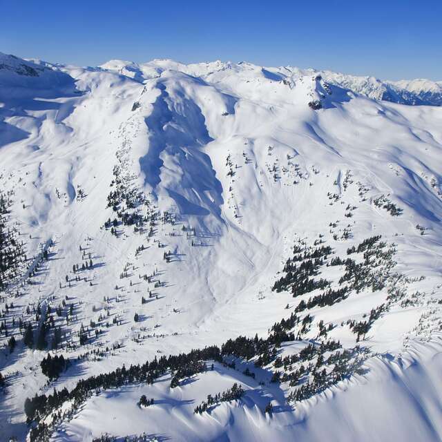 Alpine Catskiing, Powder Mountain Catskiing