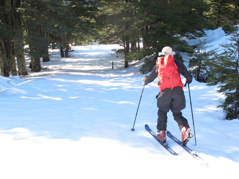 Randonee lobosadventure.com, Villarrica-Pucon