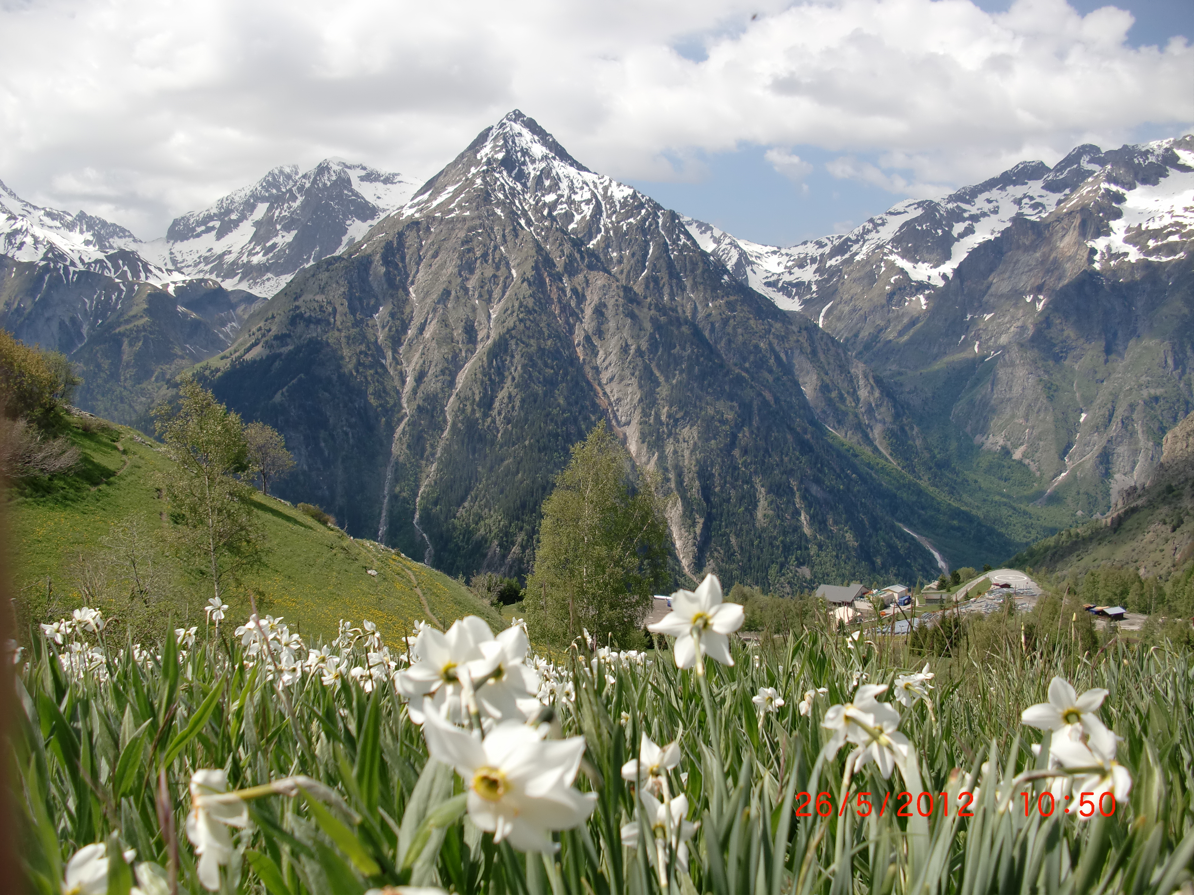 Fleurs de printemps, Les Deux Alpes