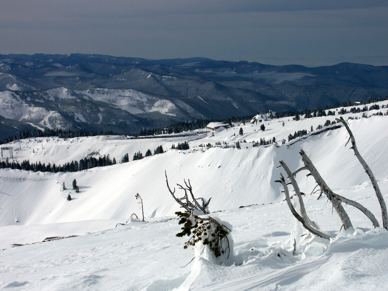 View from Mt. Hood Meadows of Timberline, Mt Hood Meadows