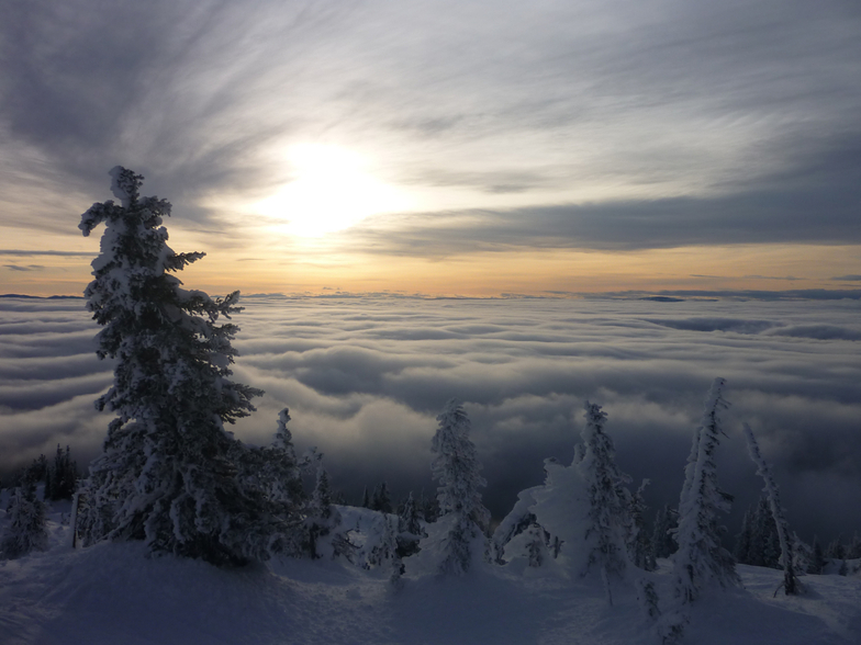 Falcon Chair, Big White