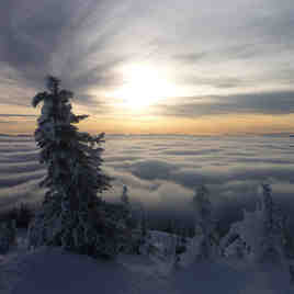 Falcon Chair, Big White