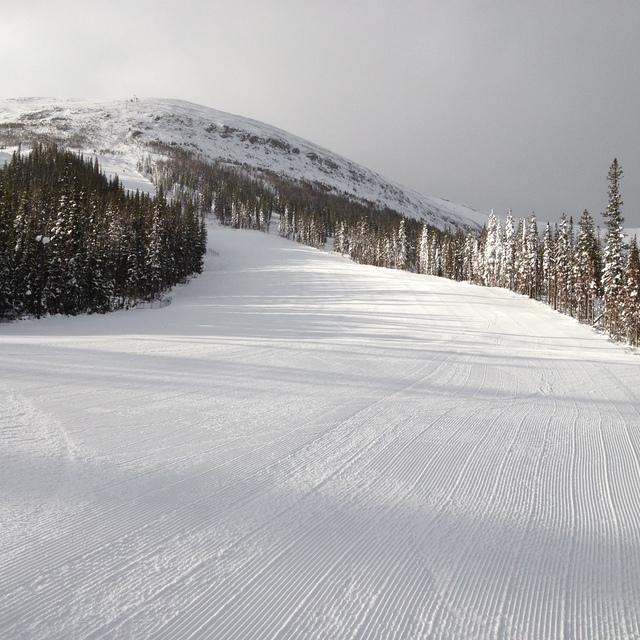 Mapmaker looking up to gold Chair, Nakiska