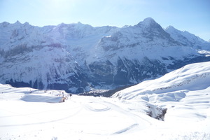 grindelwald in valley photo