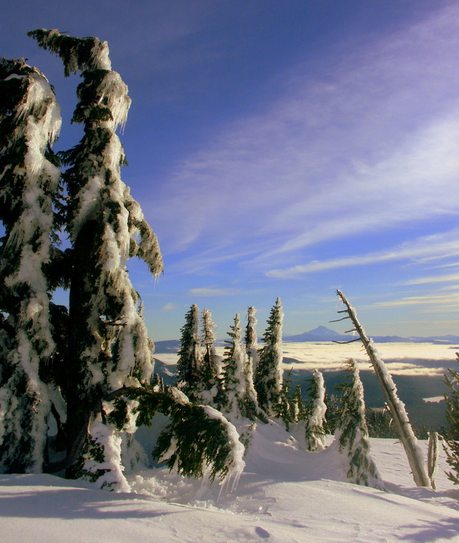 view of Mt. Jefferson, Timberline