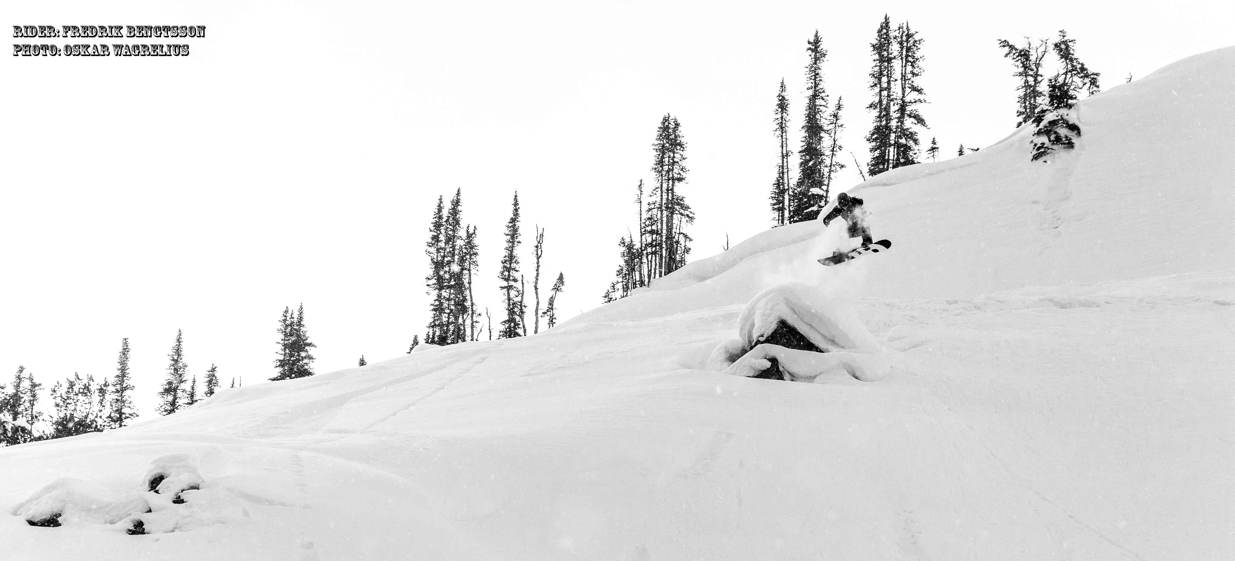 Mini Ridge Kicker, Kicking Horse