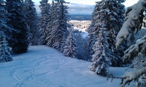 La Dole "entre les arbres", Les Rousses photo