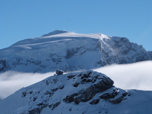 ortler, Passo Stelvio photo
