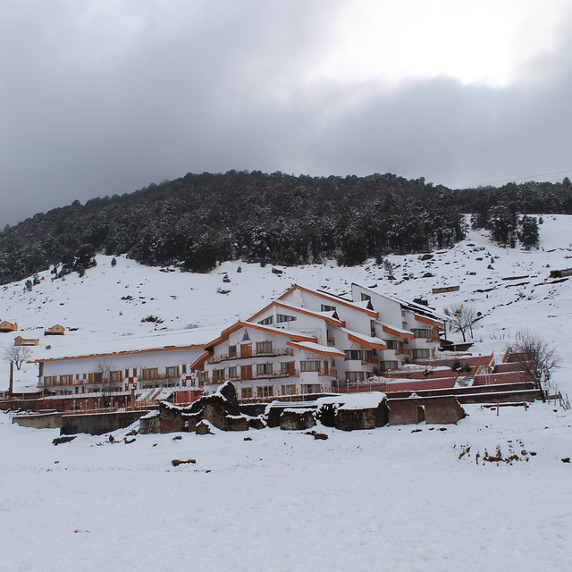 Clifftop Club, Auli