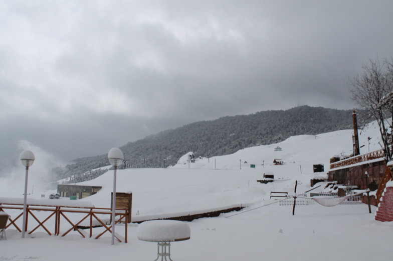 Auli Ski Resort