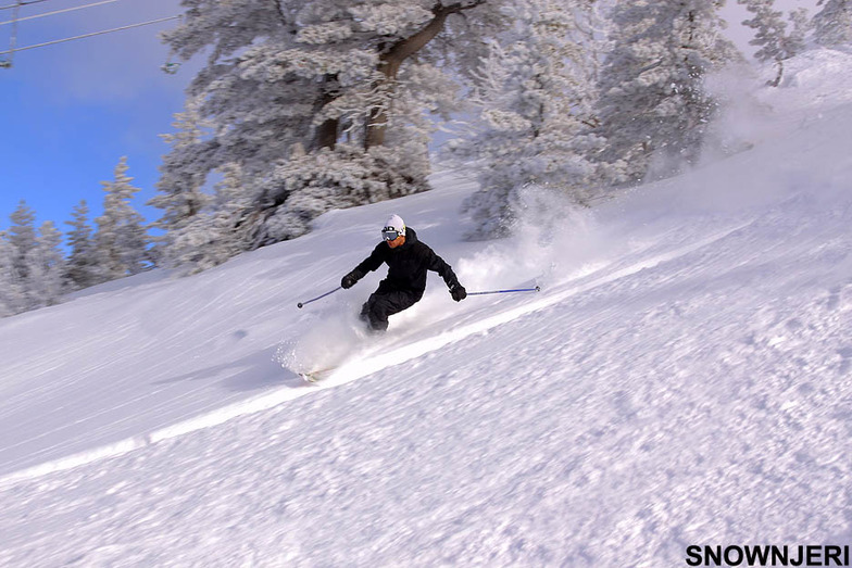 Black Backcountry skier, Brezovica