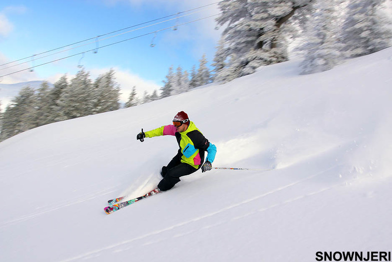 Speedy Petlla, Brezovica