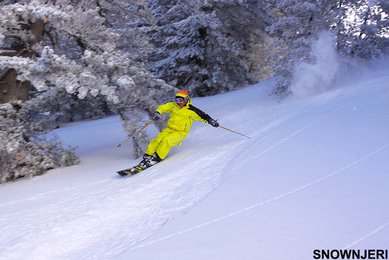 Yellow Nimani, Brezovica