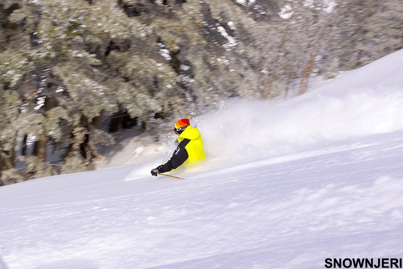 Powder Speed Fisi, Brezovica