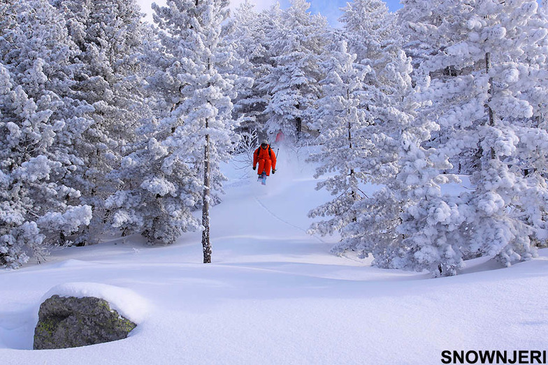 Pustinas Forest Jump, Brezovica