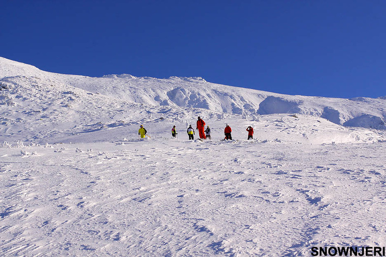 White Loving Bunch, Brezovica