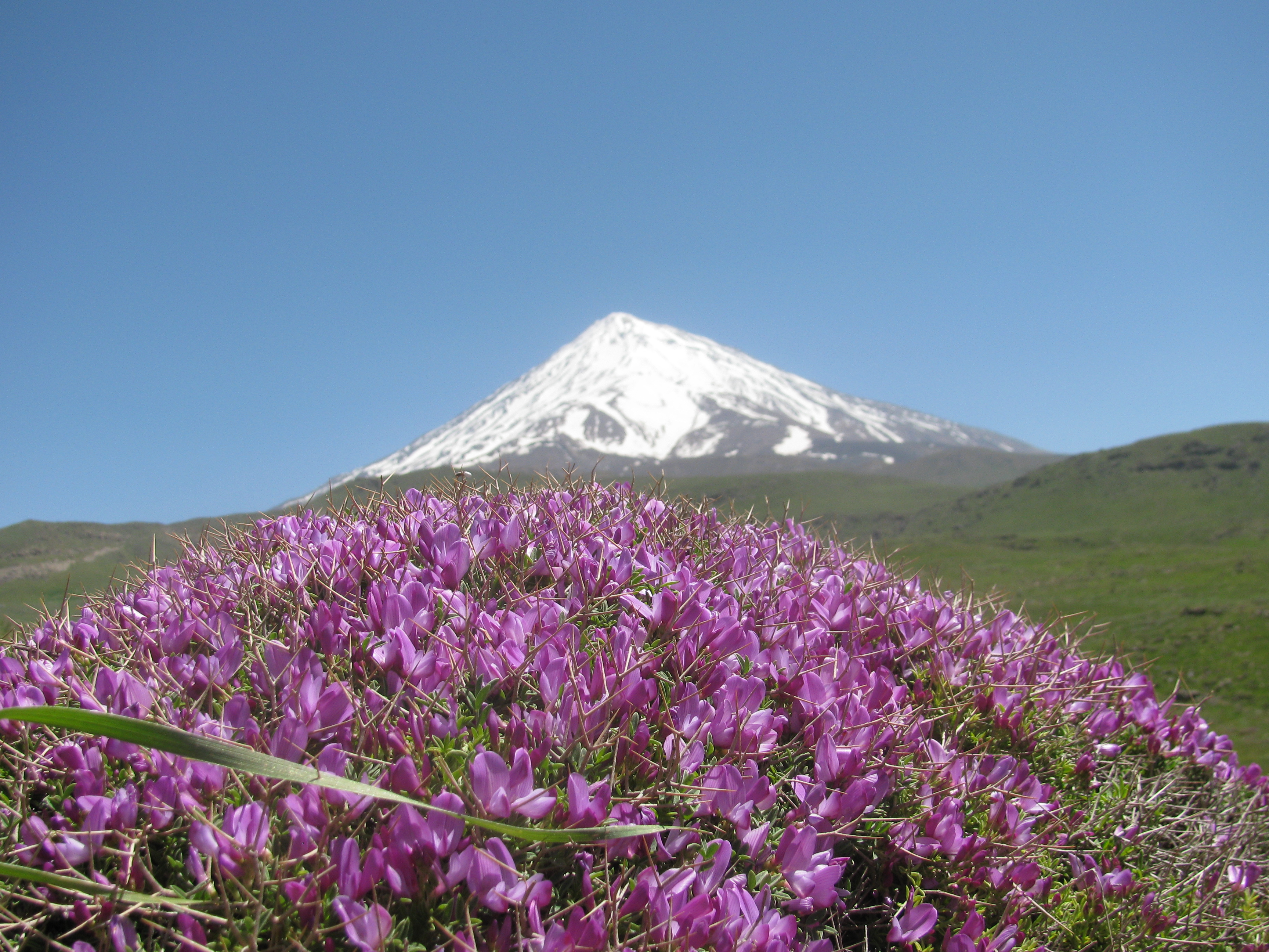 damavand, Mount Damavand