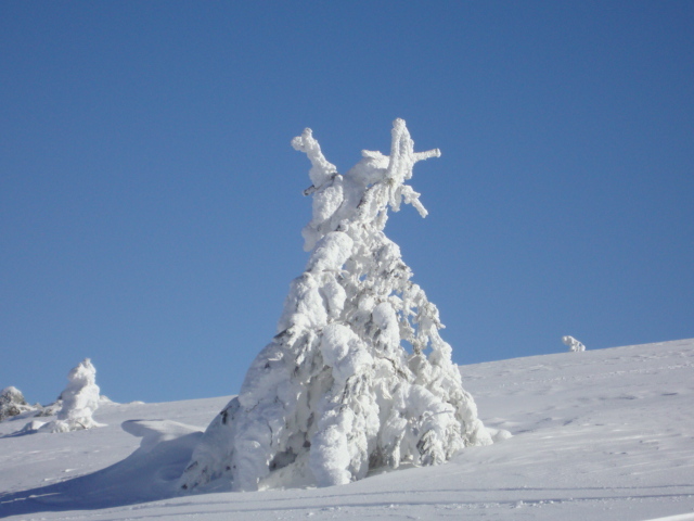 snow art 2, Kartalkaya