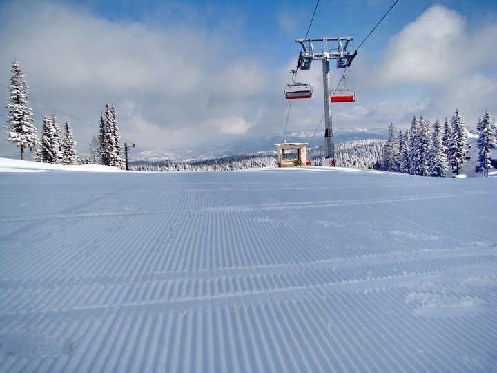 Poljice sestoguz, Jahorina