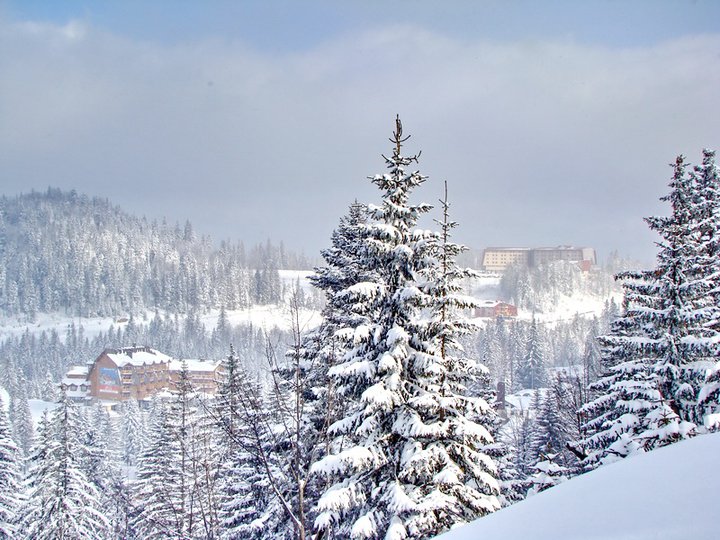 Bistrica, Jahorina