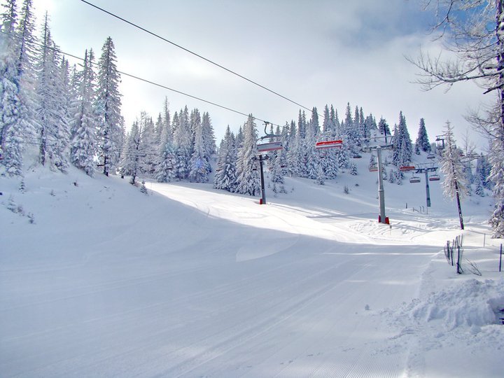 Poljice sestoguz, Jahorina