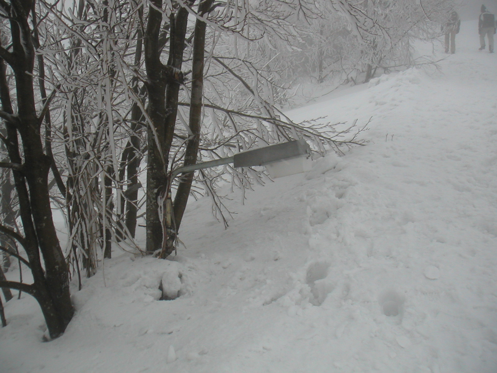 Pelion (Greece) 4m snow, Pilion