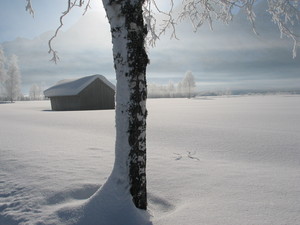 Ice blue, Lermoos photo