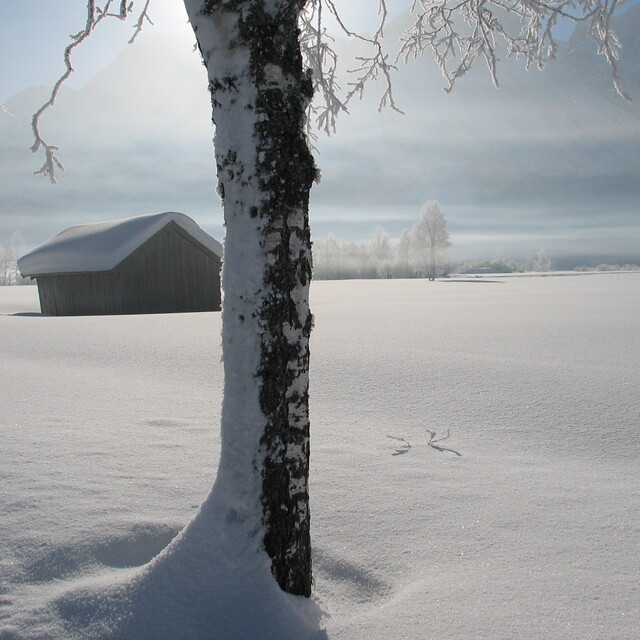 Ice blue, Lermoos