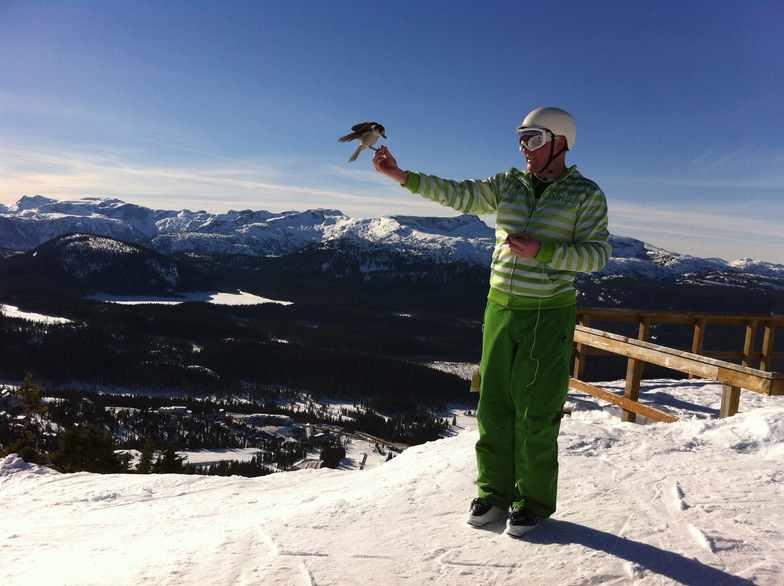 This is January?, Mount Washington