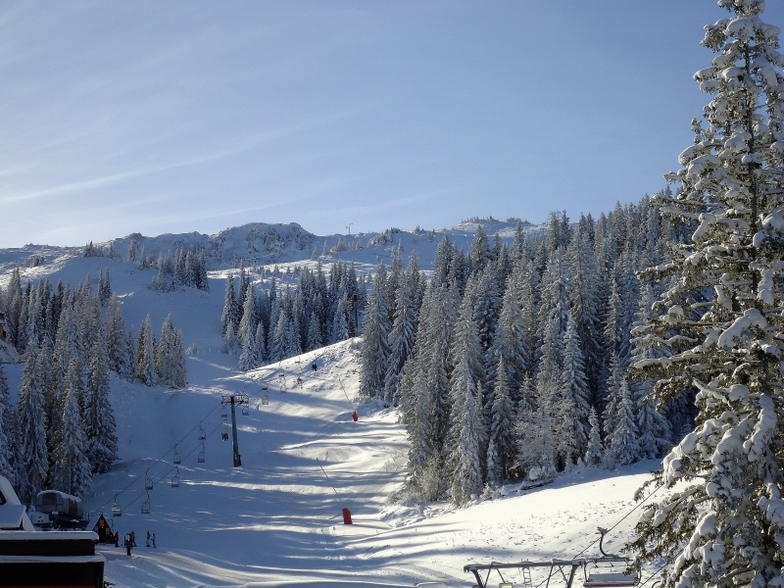 Ogorjelica I, Jahorina