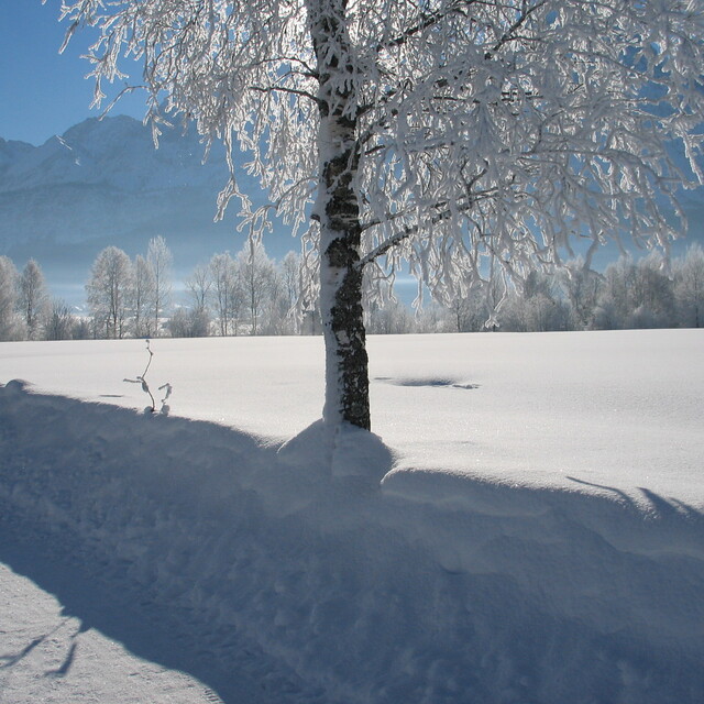 Lermoos Snow: Zugspitze Arena